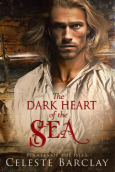 The Dark Heart of the Sea The Dark Heart of the Sea by Celeste Barclay, blond pirate with sword behind his shoulders